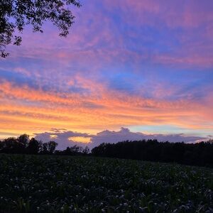 Meet your Posher, Carrie